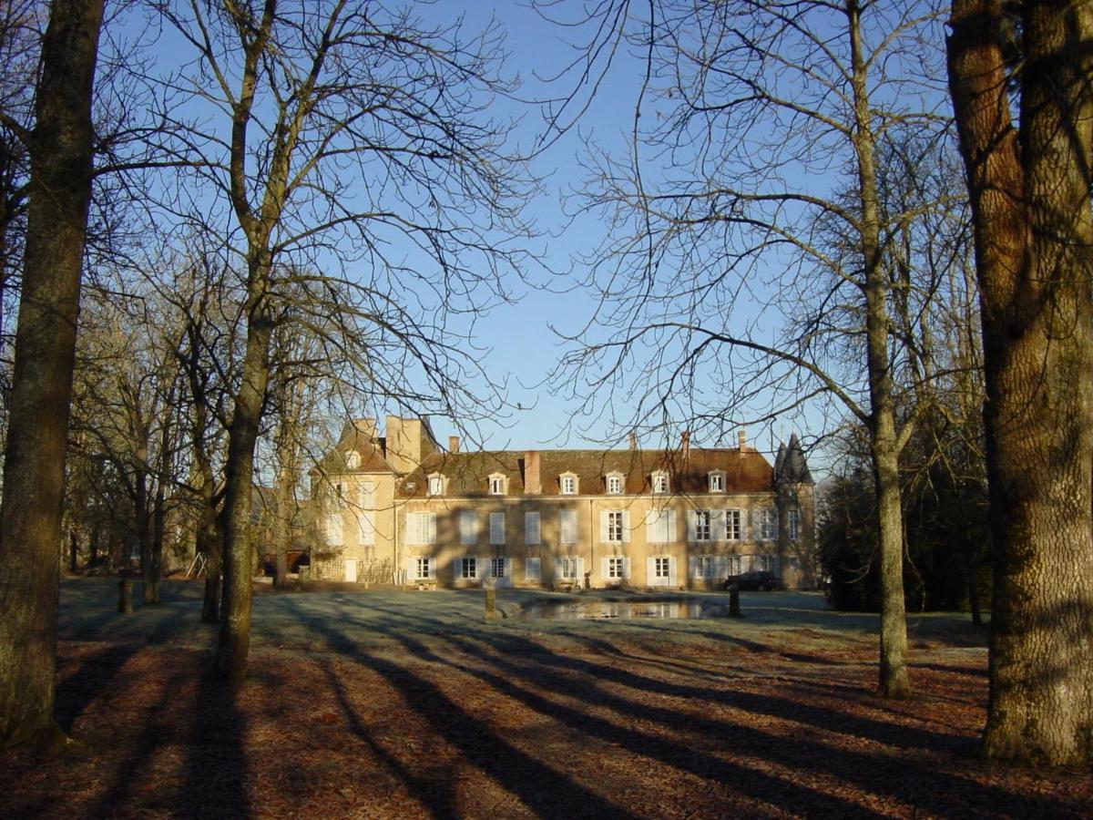 Château d'Island Vézelay Pontaubert Bagian luar foto